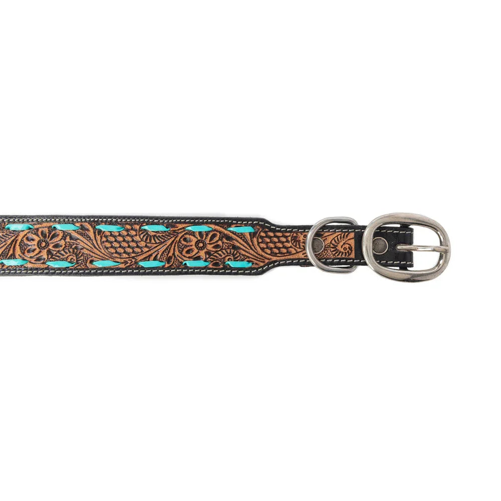 Turquoise Trail Cowboy Dog Collar In Black Dog