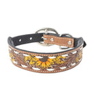 Prairie Sunflower Trail Dog Collar In Sandstone Dog