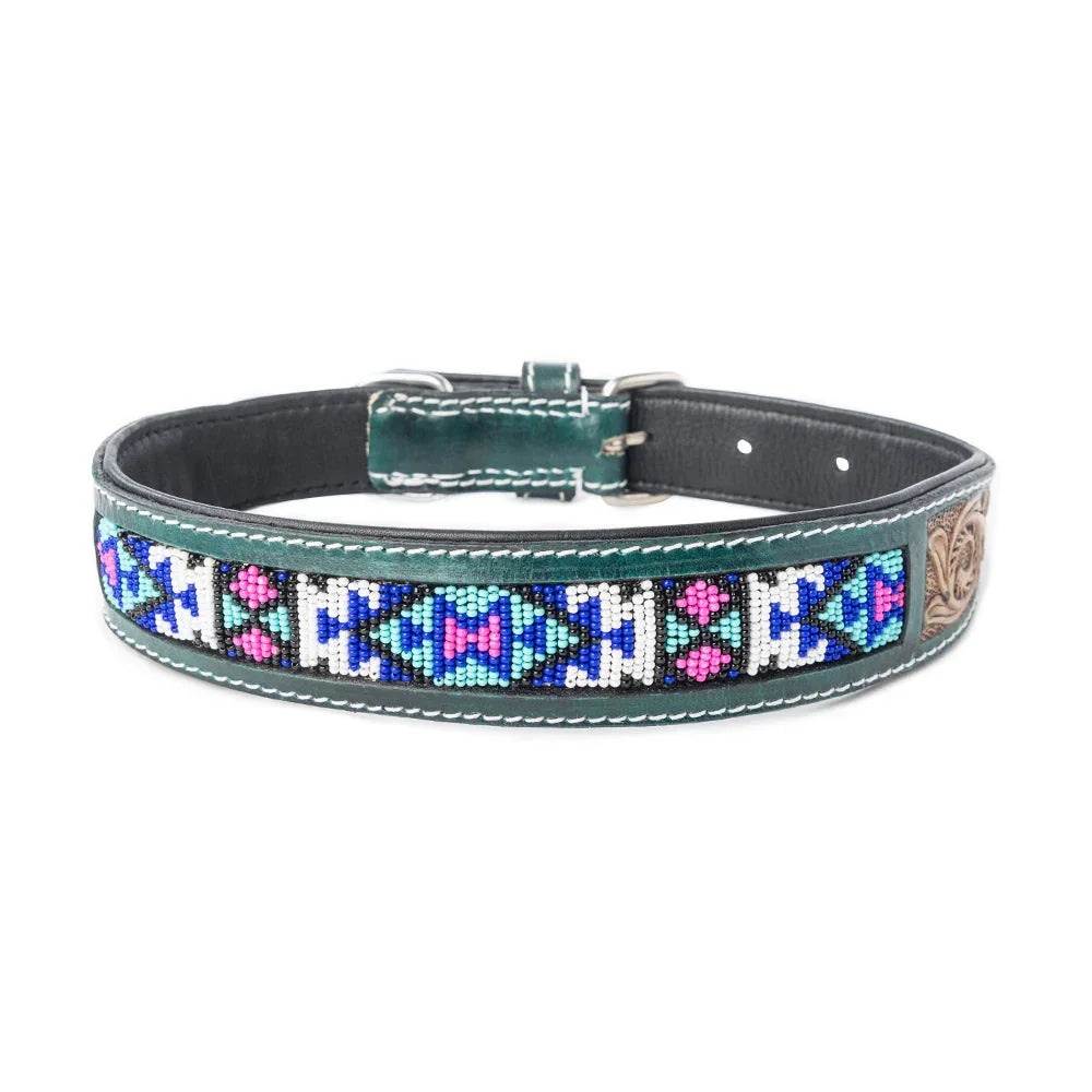 Turquoise Blossom Western Dog Collar In Brown Dog