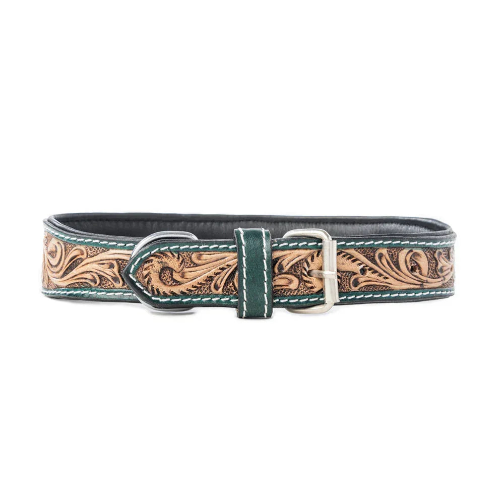Turquoise Blossom Western Dog Collar In Brown Dog