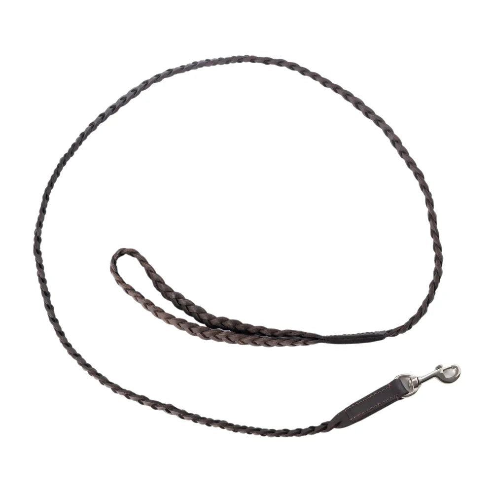 Trailbound Leather Dog Leash In Rustic Brown With Braided Design And Metal Hook
