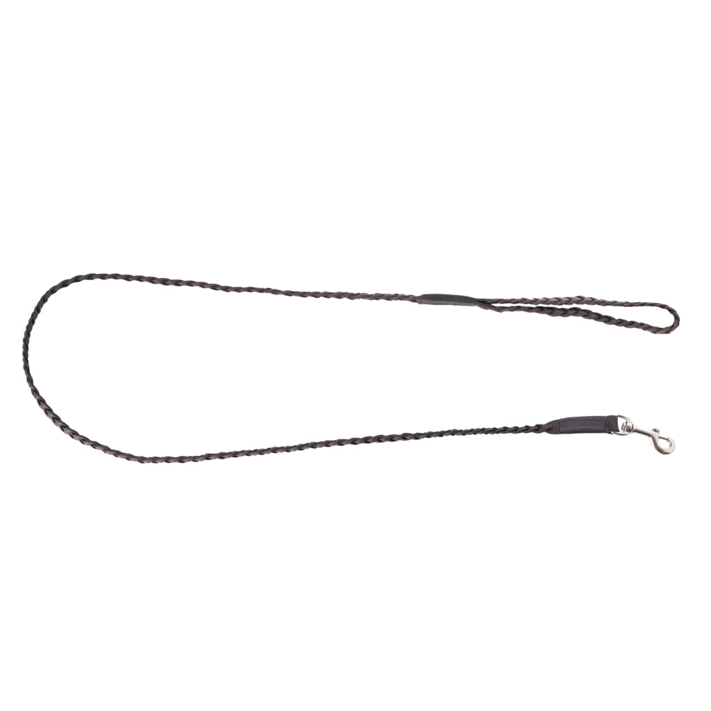Trailbound Leather Dog Leash In Rustic Brown With Braided Design And Metal Hook