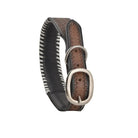 OXY DAISY HAND-TOOLED PADDED LEATHER DOG COLLAR Dog