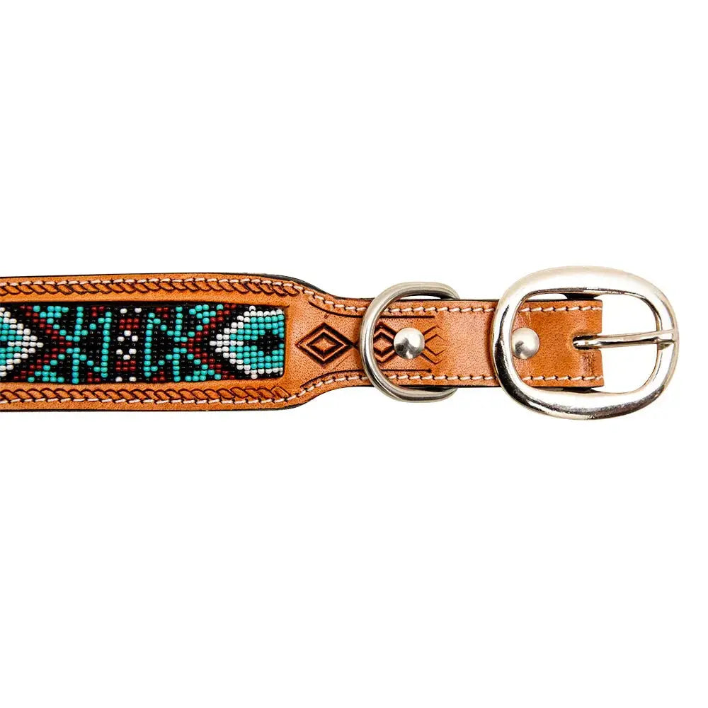 TEAL WHITZER AZTEC HAND-TOOLED PADDED LEATHER DOG COLLAR Dog