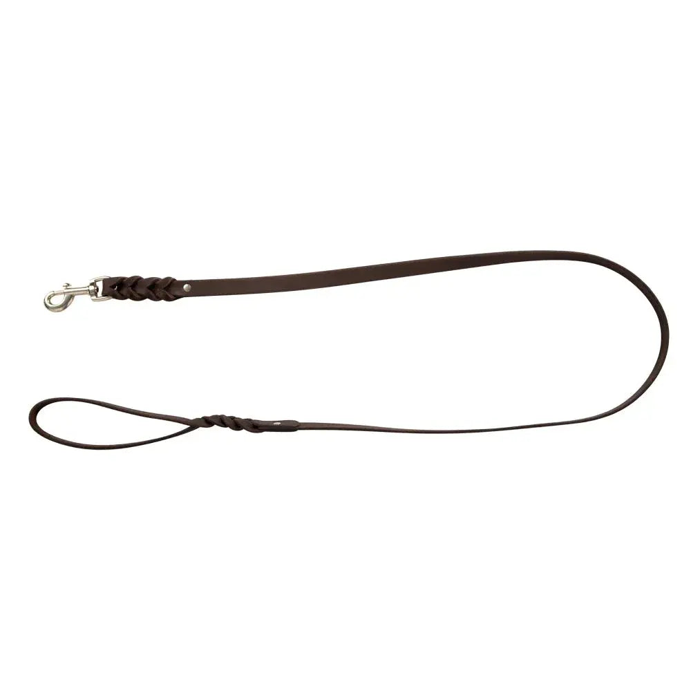 ADVENTURER LEATHER DOG LEASH Dog