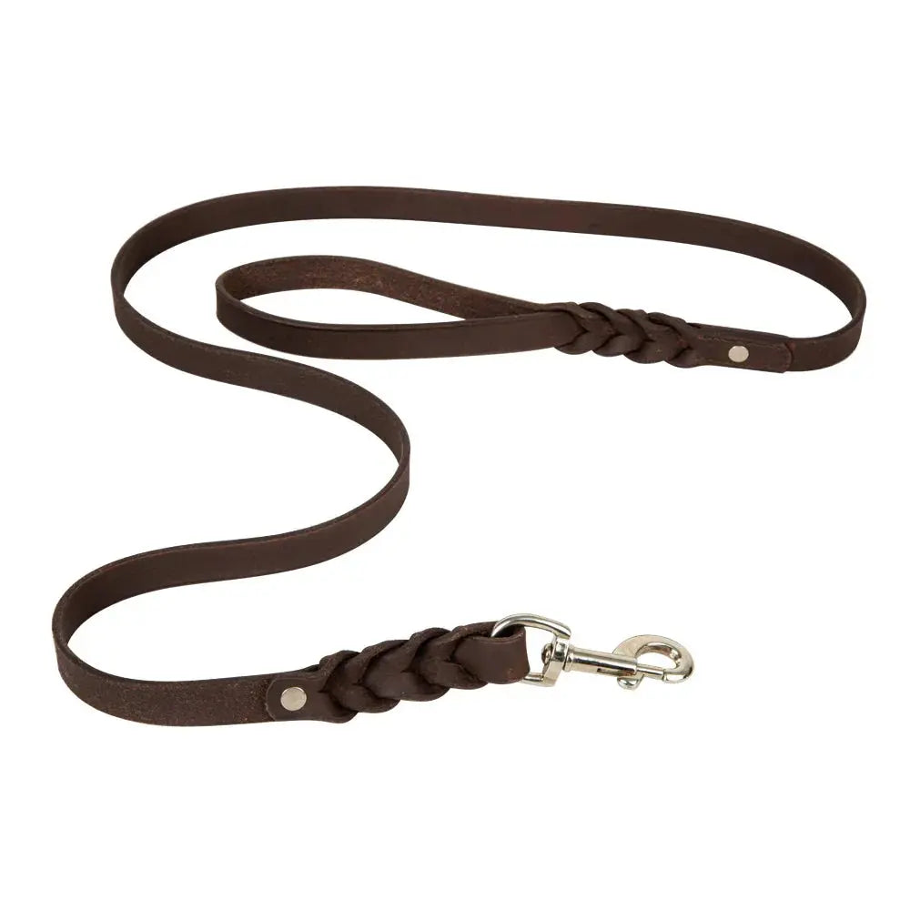 ADVENTURER LEATHER DOG LEASH Dog