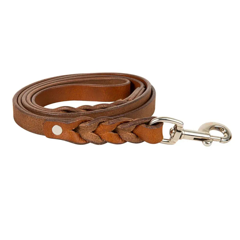 EXPLORER LEATHER DOG LEASH Dog