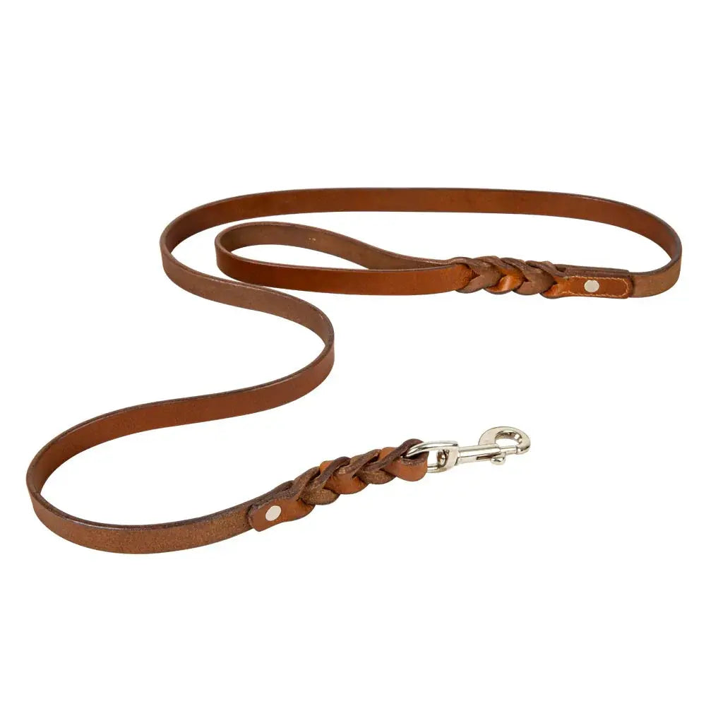 EXPLORER LEATHER DOG LEASH Dog
