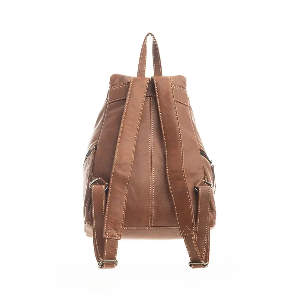 Cinnamon Trail Leather Backpack Bag handbag