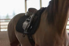 Black leather saddle with silver hardware on light brown horse, Benefab pad