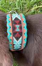 Genuine leather dog collar with turquoise beaded trim and geometric inlay