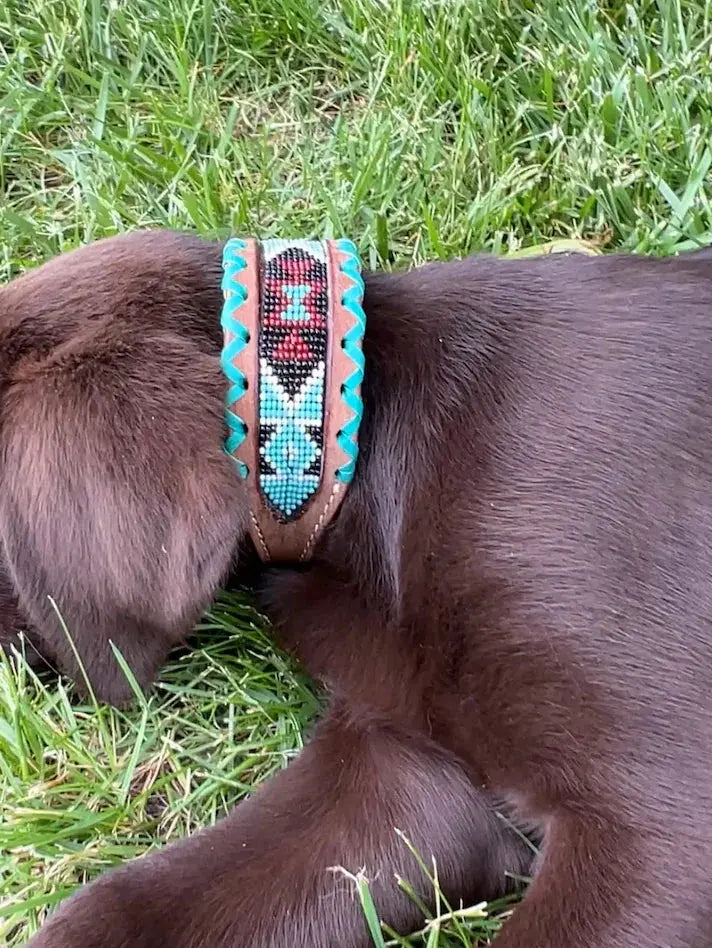 Genuine leather dog collar with teal burgundy beaded inlay and rawhide edge