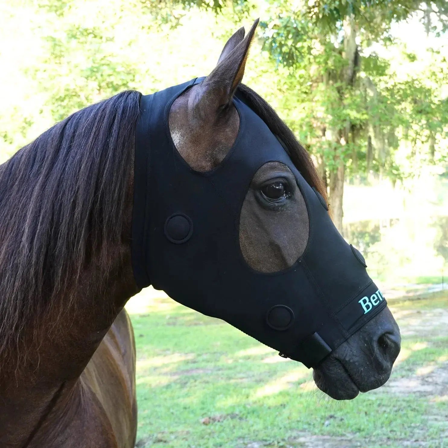 BeneFab Rejuvenate SmartMask