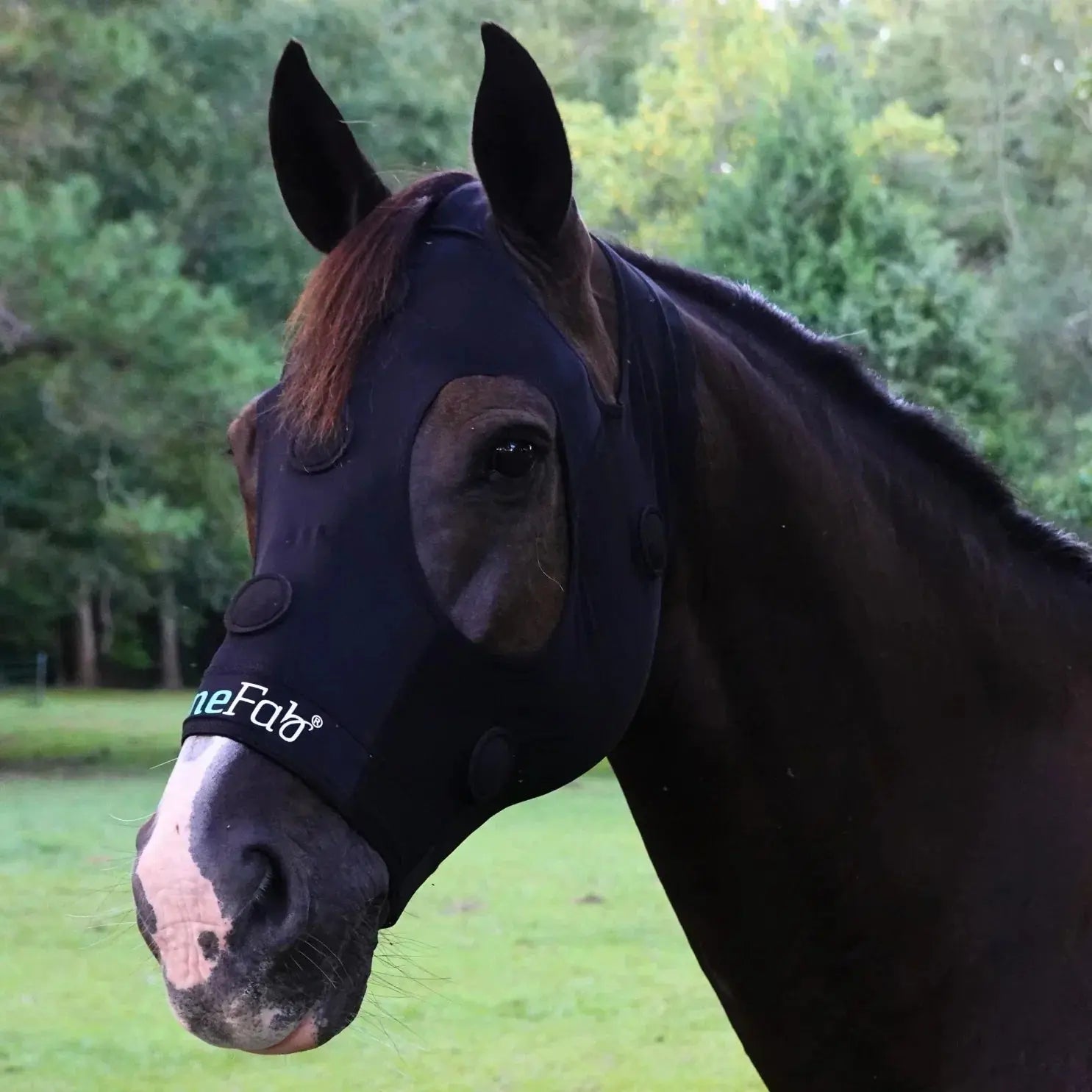 BeneFab Rejuvenate SmartMask