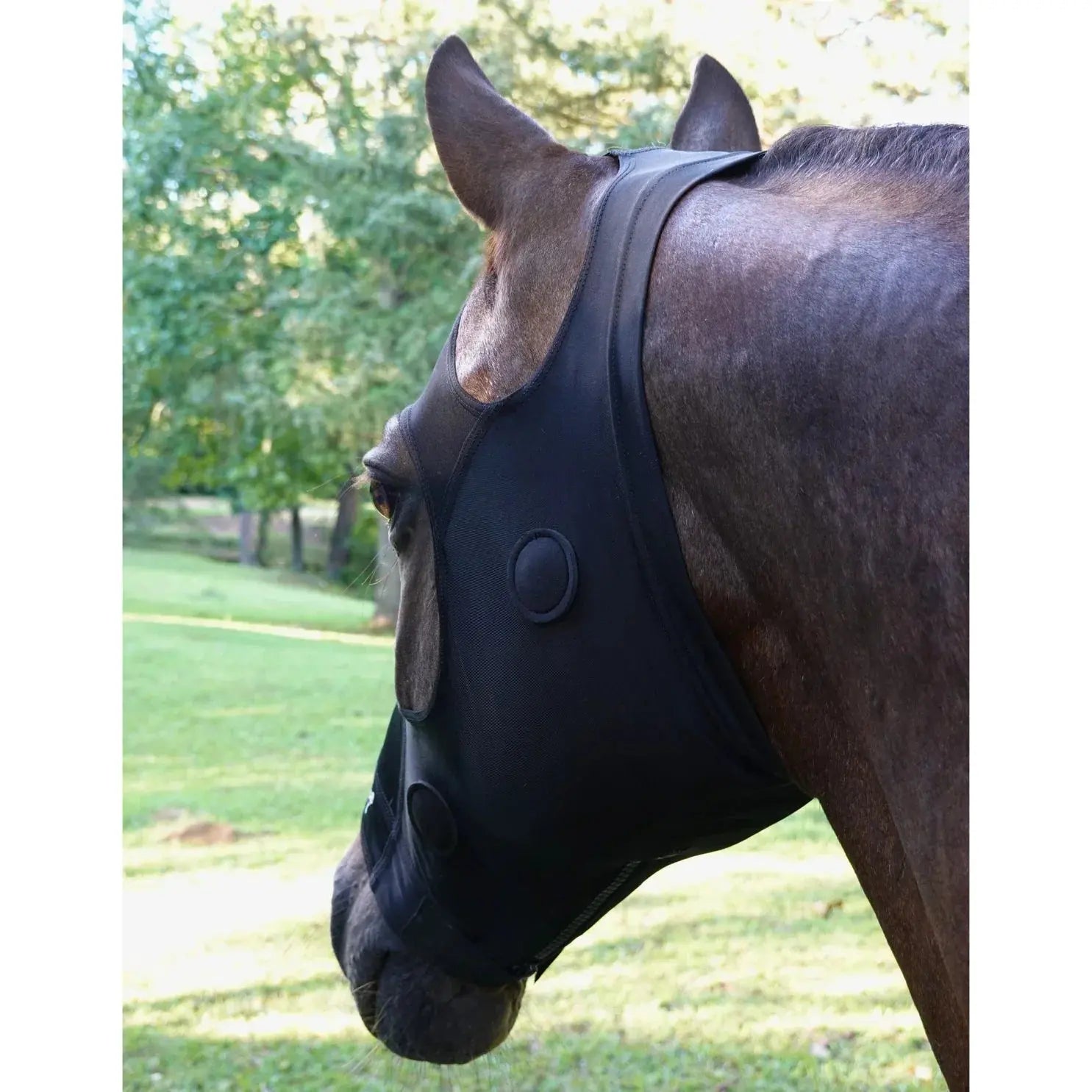 BeneFab Rejuvenate SmartMask