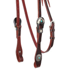 Turquoise Halo Browband Headstall close up