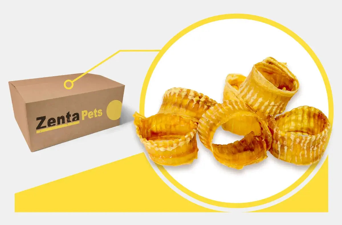 Trachea Rings Dog