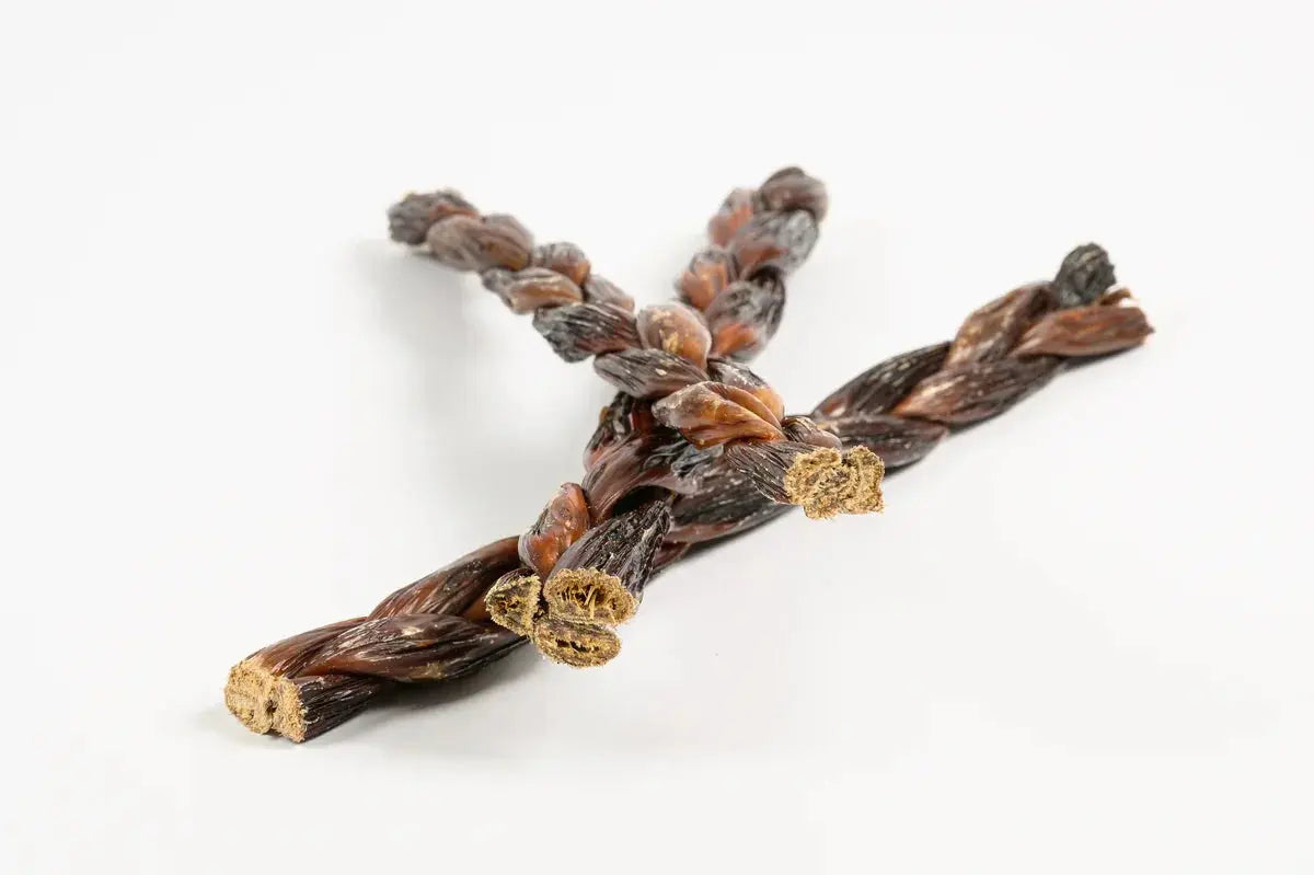 12" Braided Gullet Sticks Dog Treats