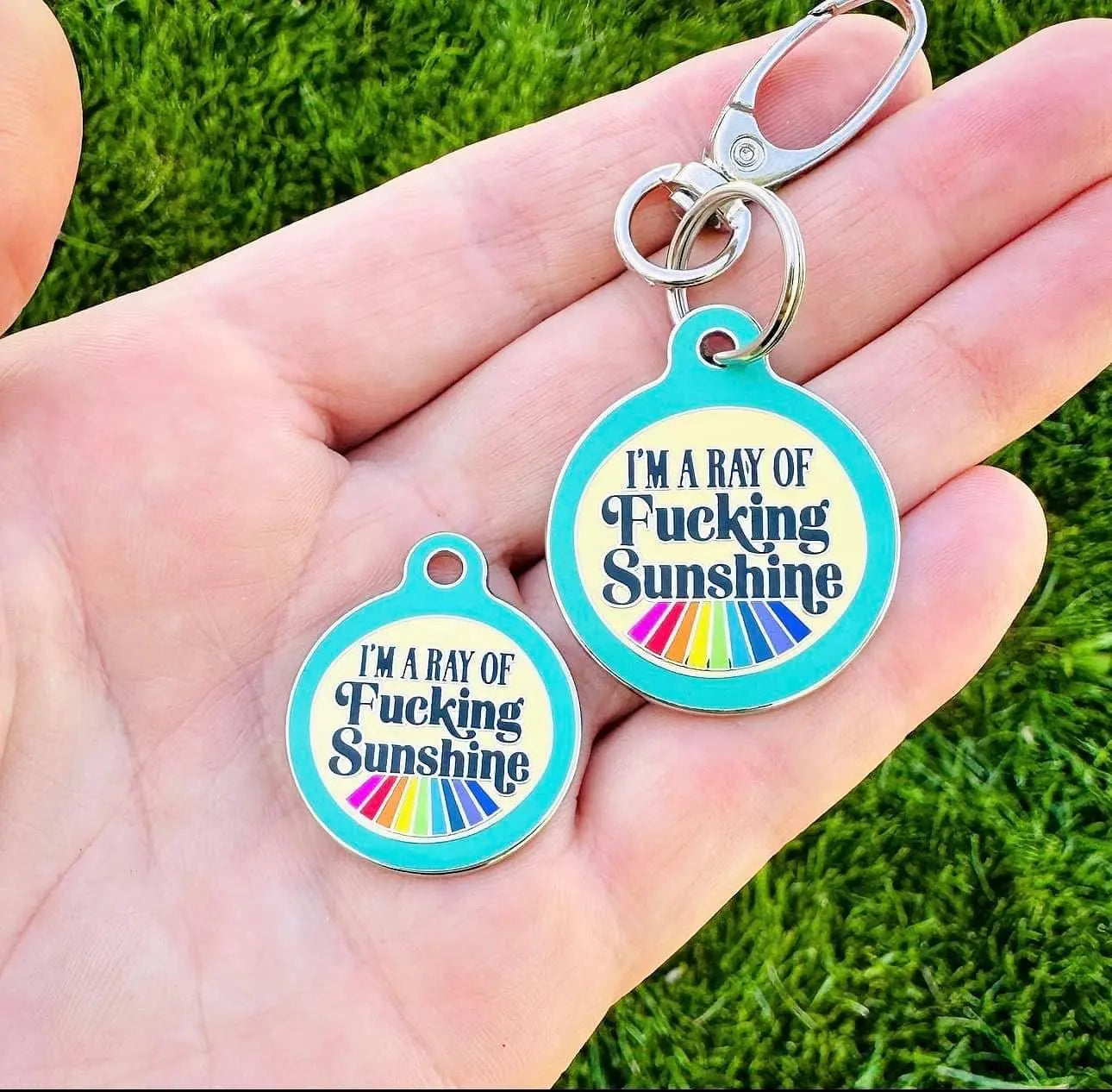 I'm a Ray of Fucking Sunshine - Dog ID Tag or Collar Charm Dog