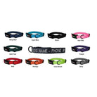 Nylon Flat Collar Dog