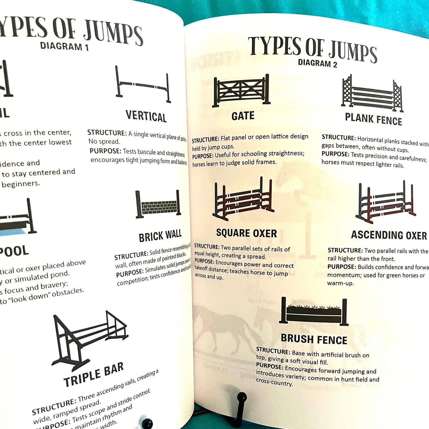English Riding Lessons & Activities