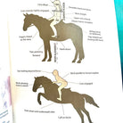 English Riding Lessons & Activities