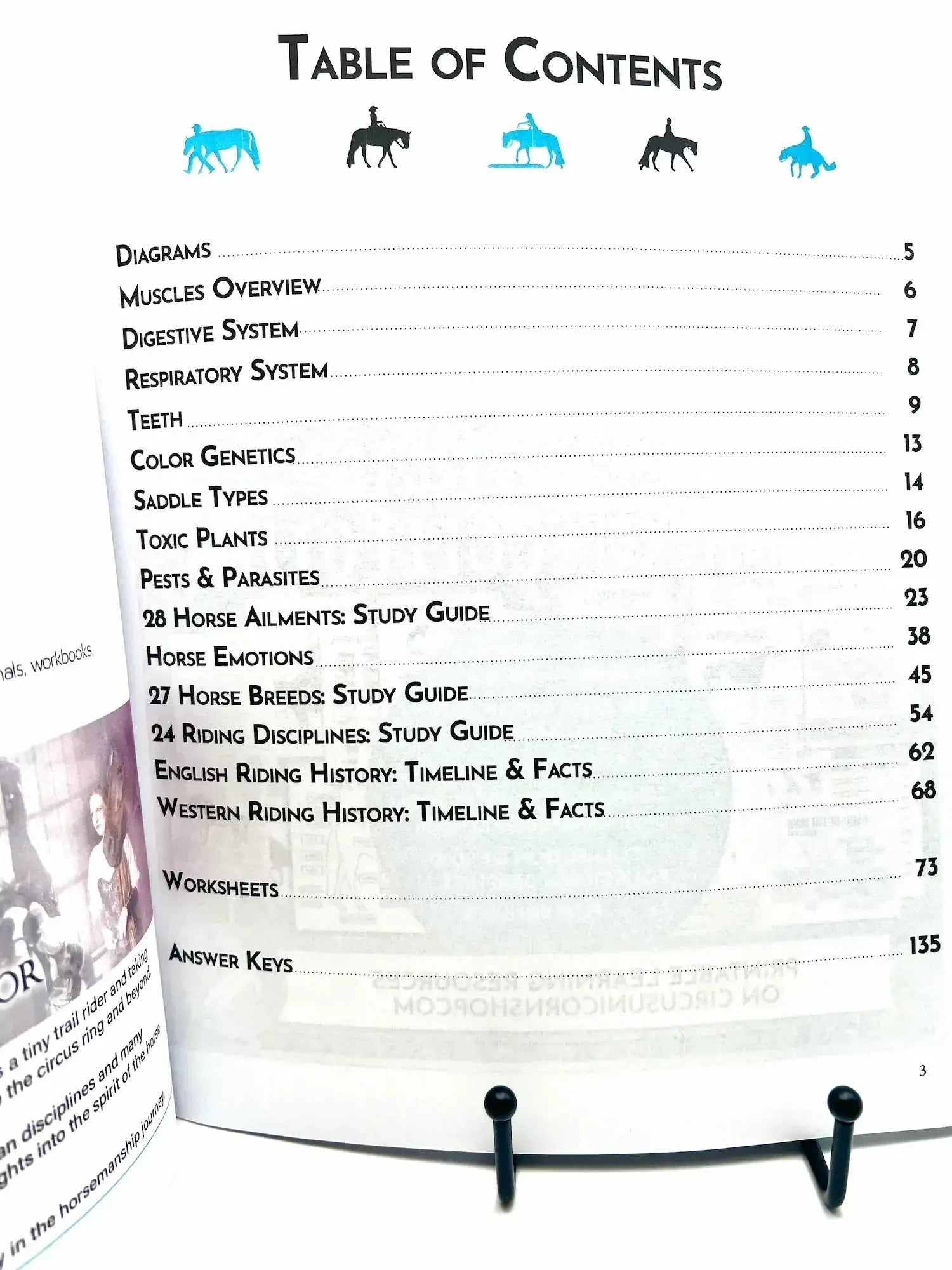 Horse Workbook Vol. II inside