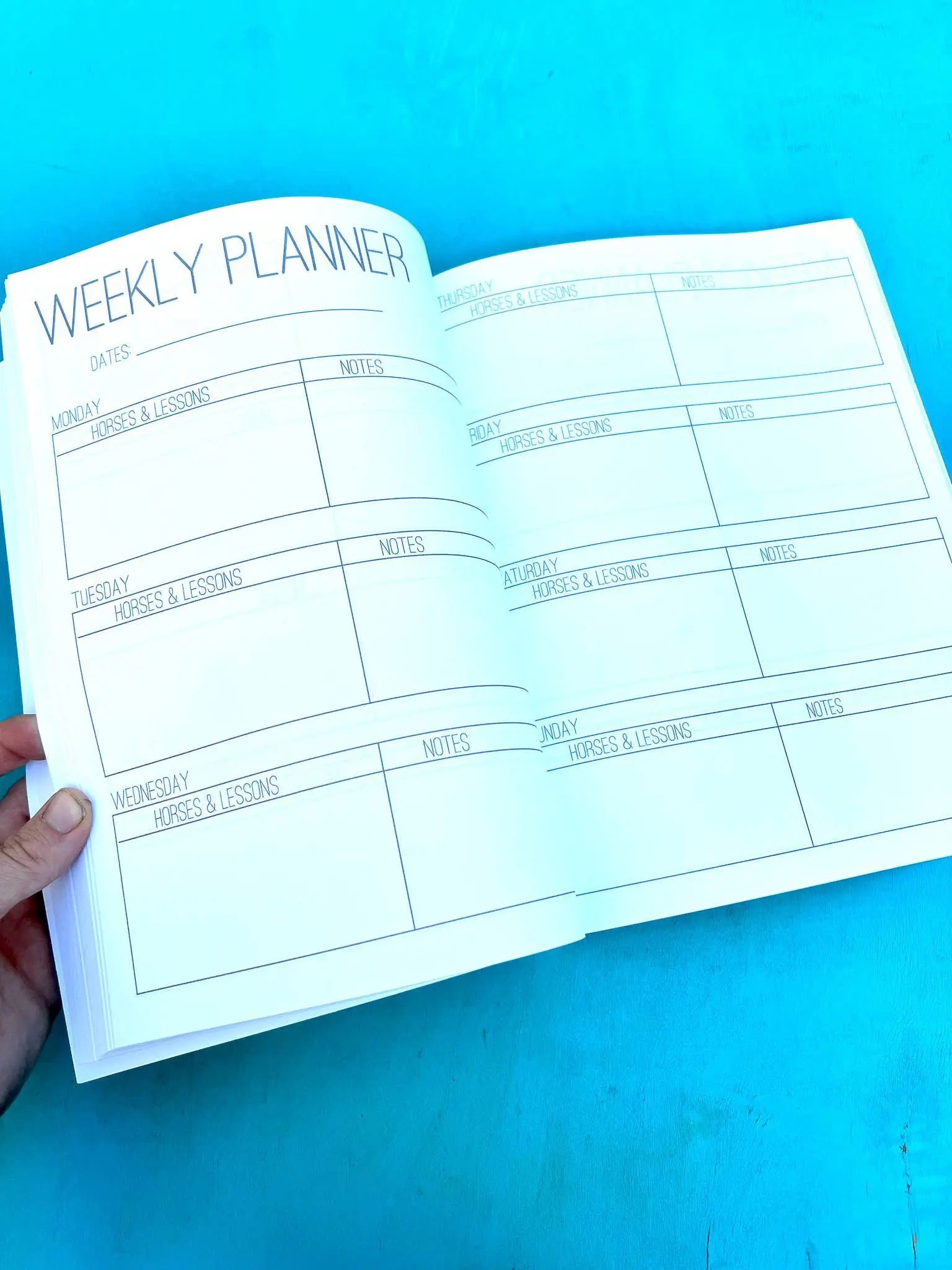 The Horse Trainer's Log Book (The BIG Version)