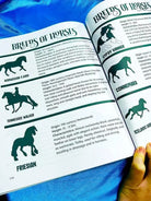 Intermediate Rider Lesson Plan