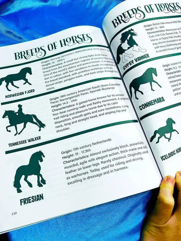 Intermediate Rider Lesson Plan