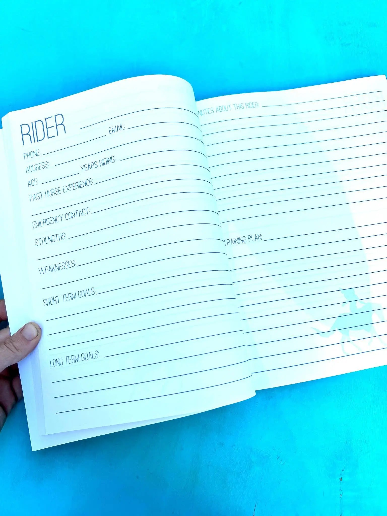 The Horse Trainer's Log Book (The BIG Version)