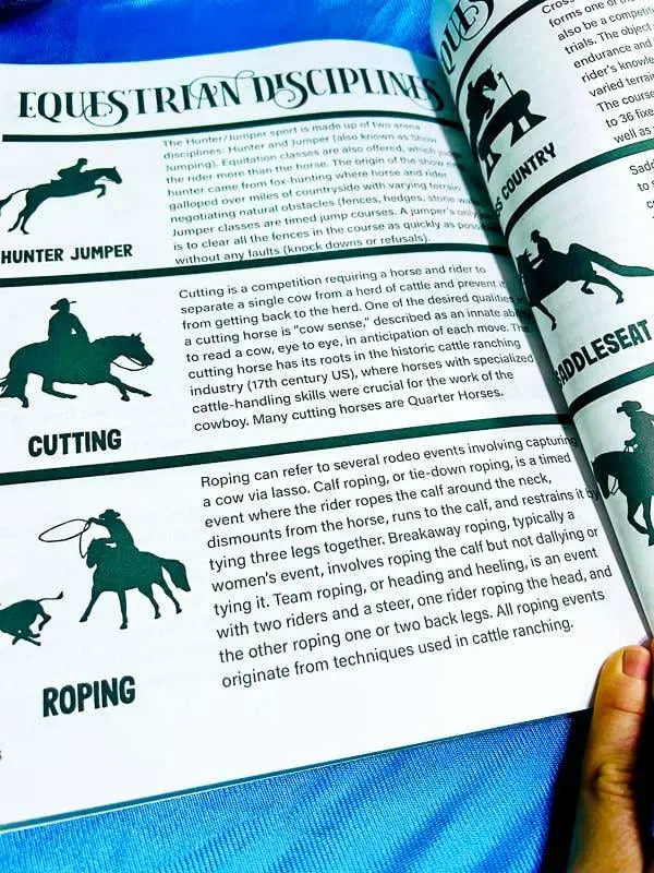 Intermediate Rider Lesson Plan