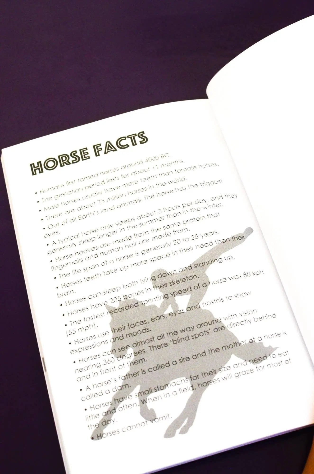 The Horseman's Journal