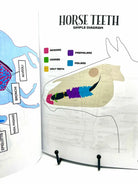 Horse Workbook Vol. II inside