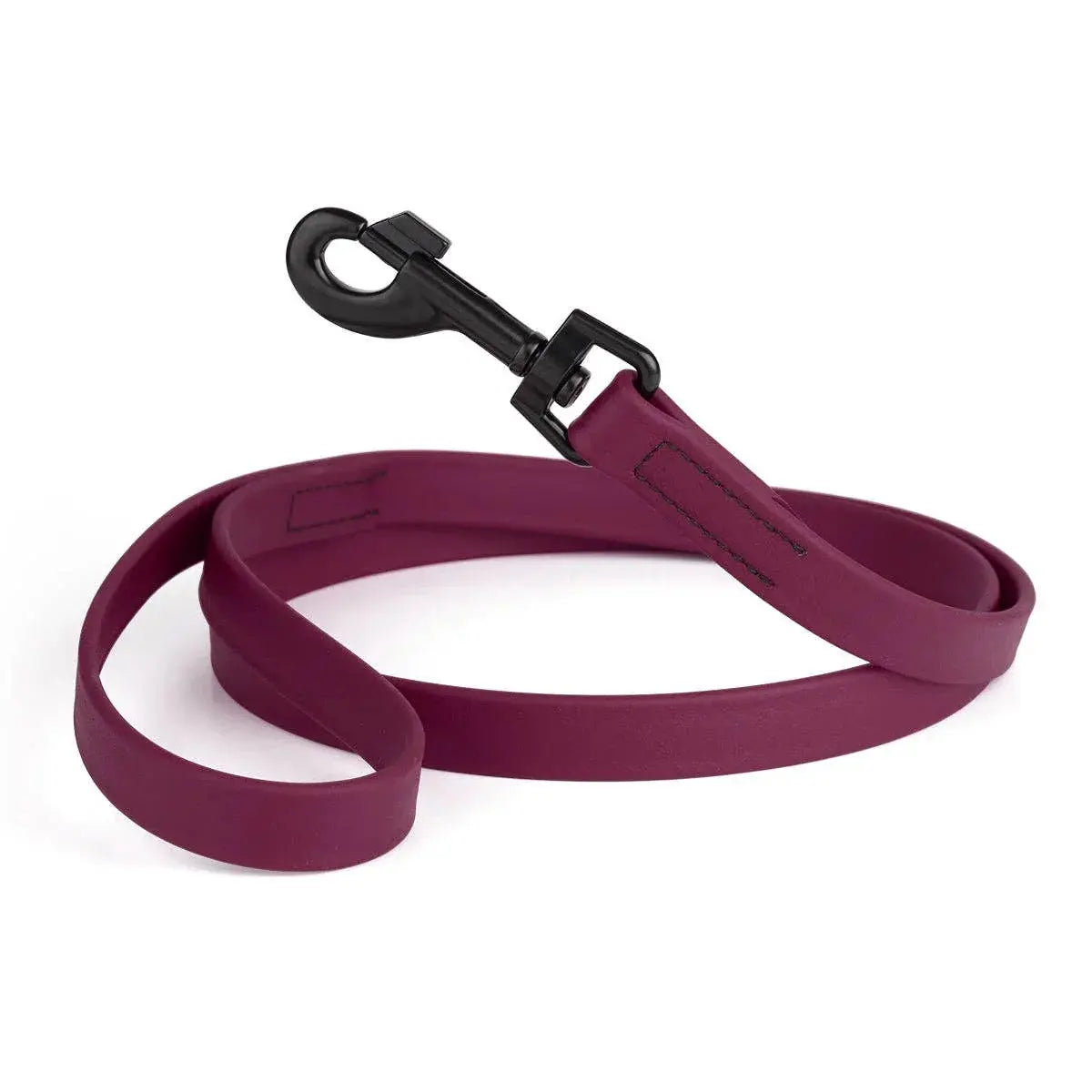 Biothane Waterproof Leash Dog