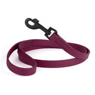 Biothane Waterproof Leash Dog