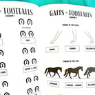 English Riding Lessons & Activities