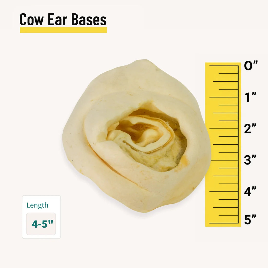 cow ear bases