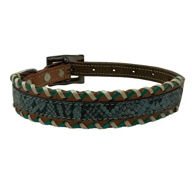 Teal Python Leather Dog Collar Dog