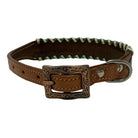 Teal Python Leather Dog Collar Dog