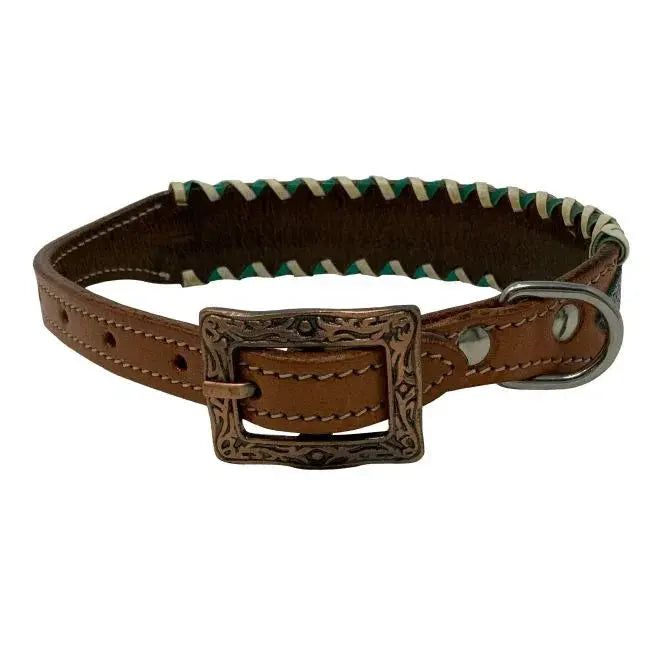 Teal Python Leather Dog Collar Dog