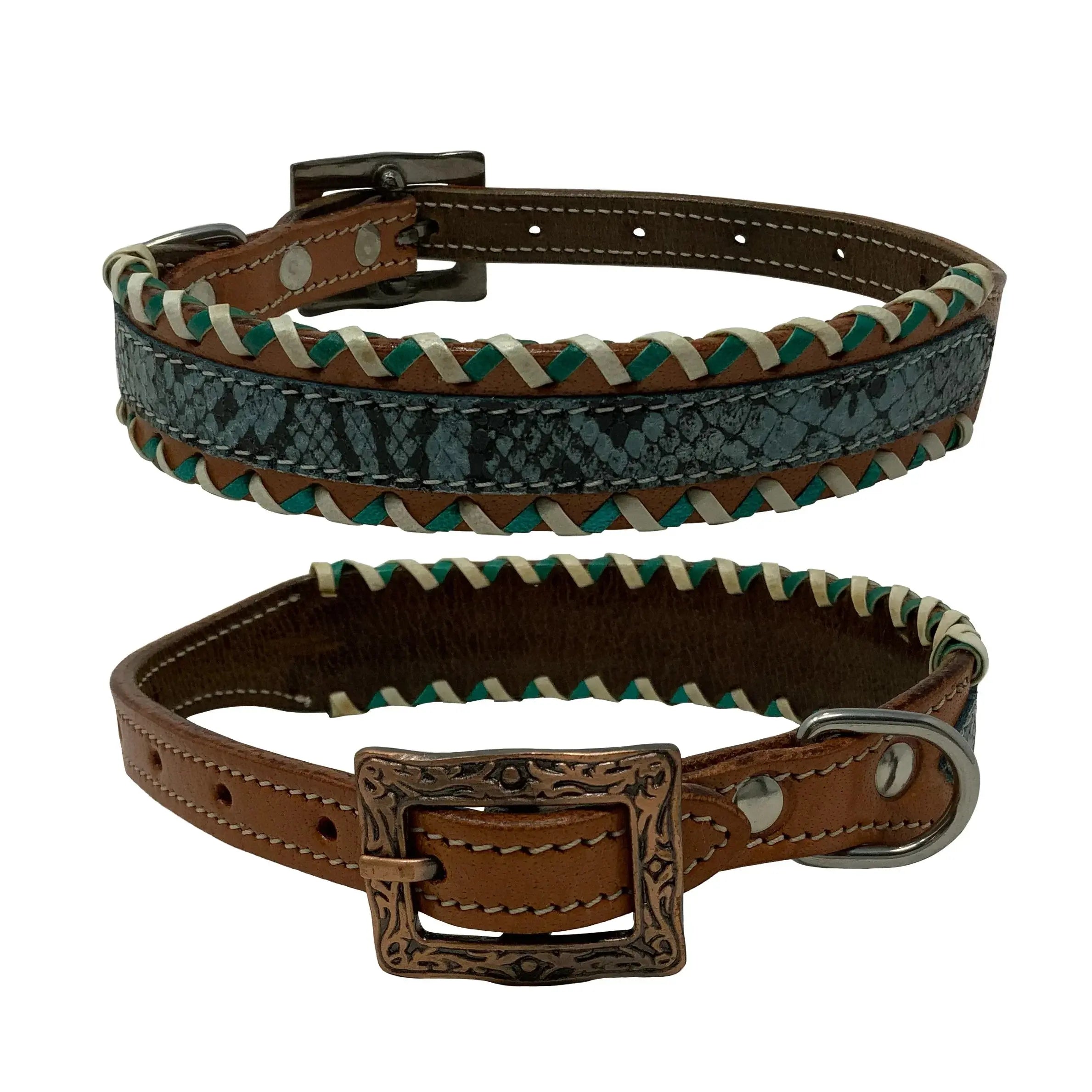 Teal Python Leather Dog Collar Dog