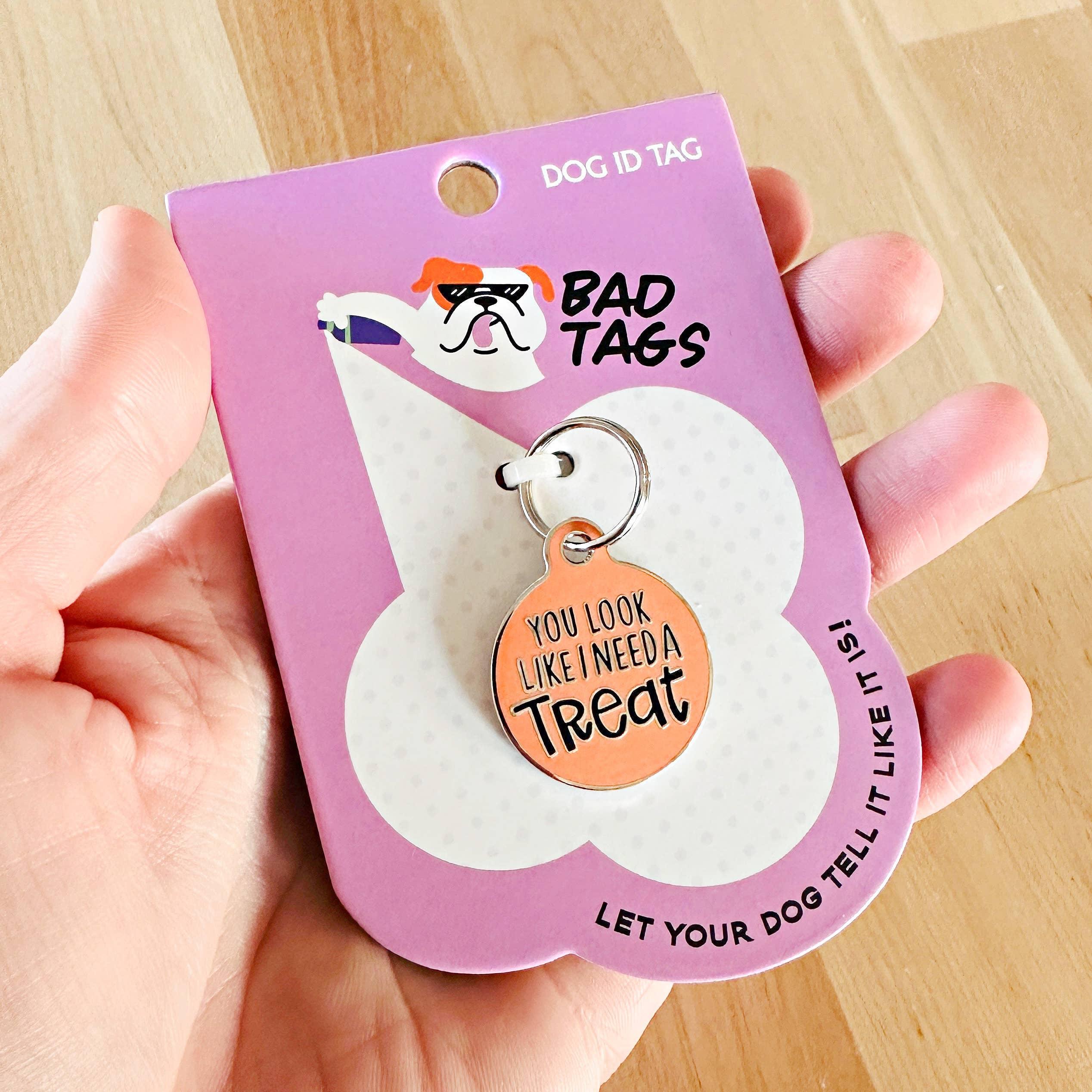 Dog ID Tag or Collar Charm: You Look Like You Need a Treat