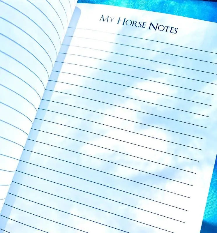 The Horse Project Book