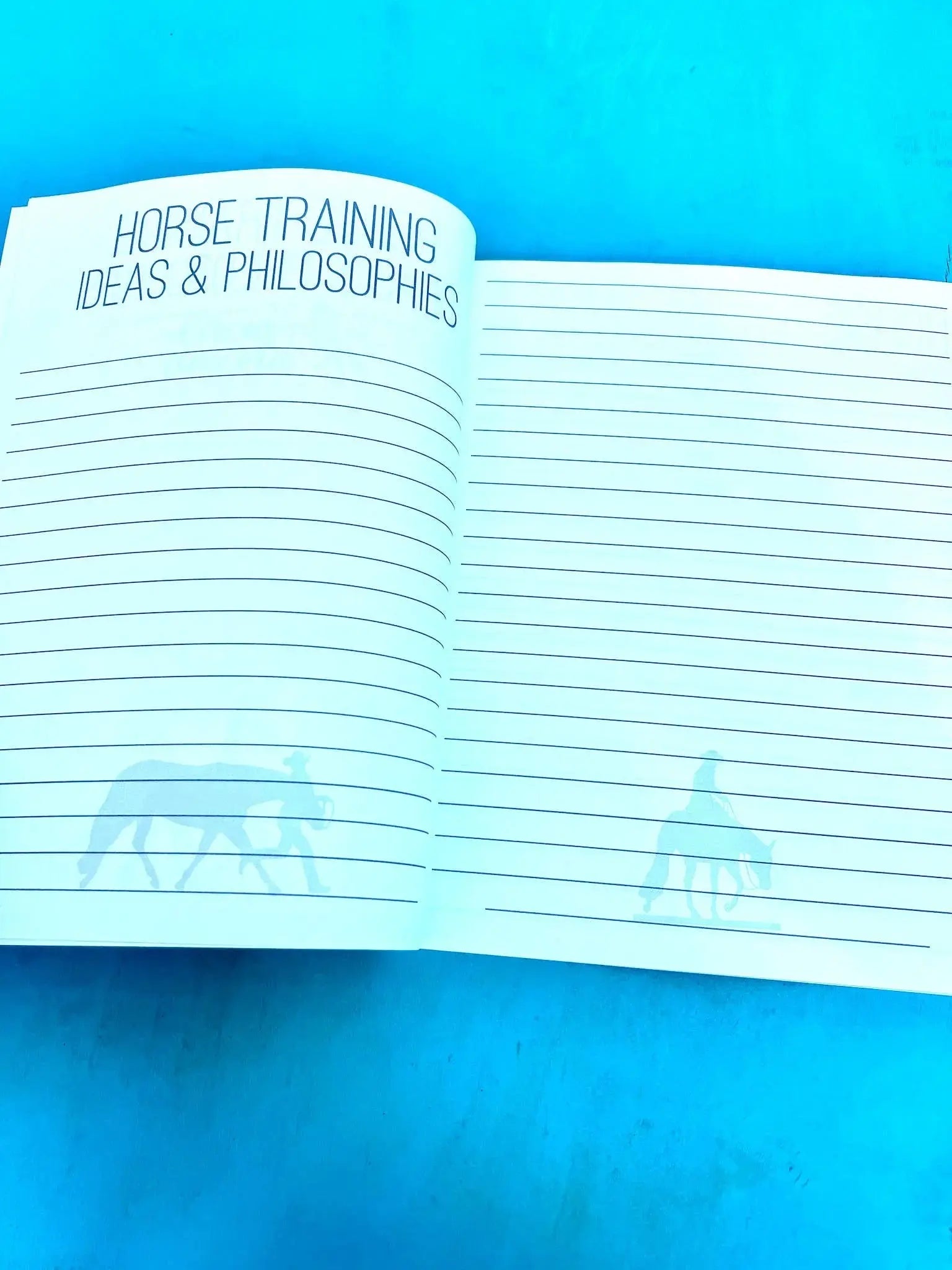 The Horse Trainer's Log Book (The BIG Version)