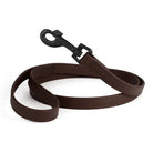 Biothane Waterproof Leash Dog