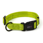 Nylon Flat Collar Dog