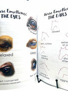 Horse Workbook Vol. II inside