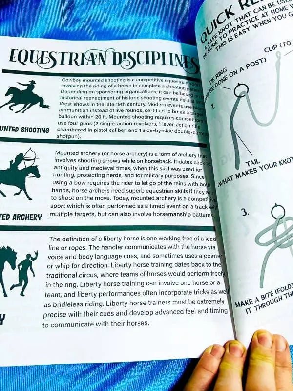 Intermediate Rider Lesson Plan