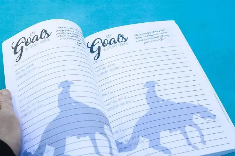 The Reiner's Journal